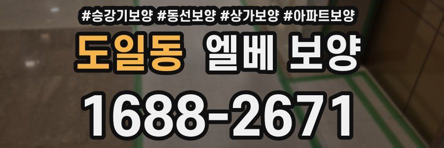 도일동 엘베 보양