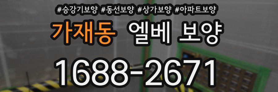 가재동 엘베 보양