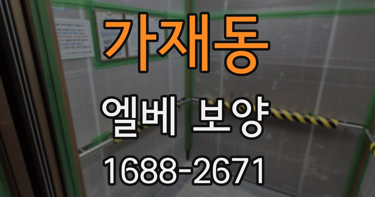 가재동 엘베 보양