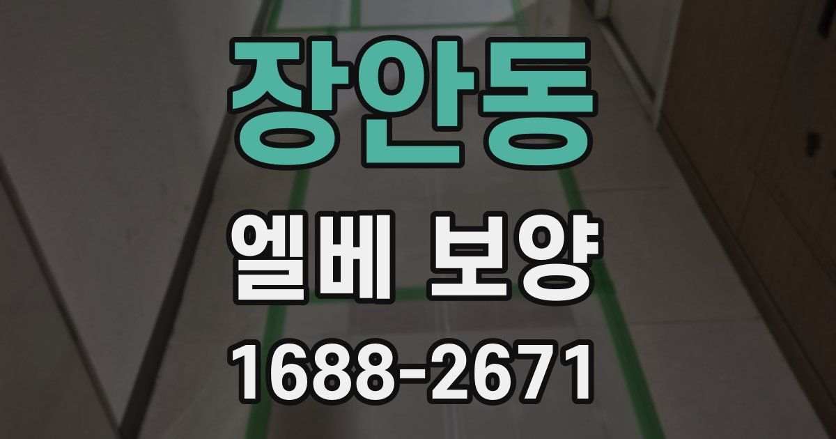 장안동 엘베 보양