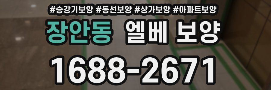 장안동 엘베 보양