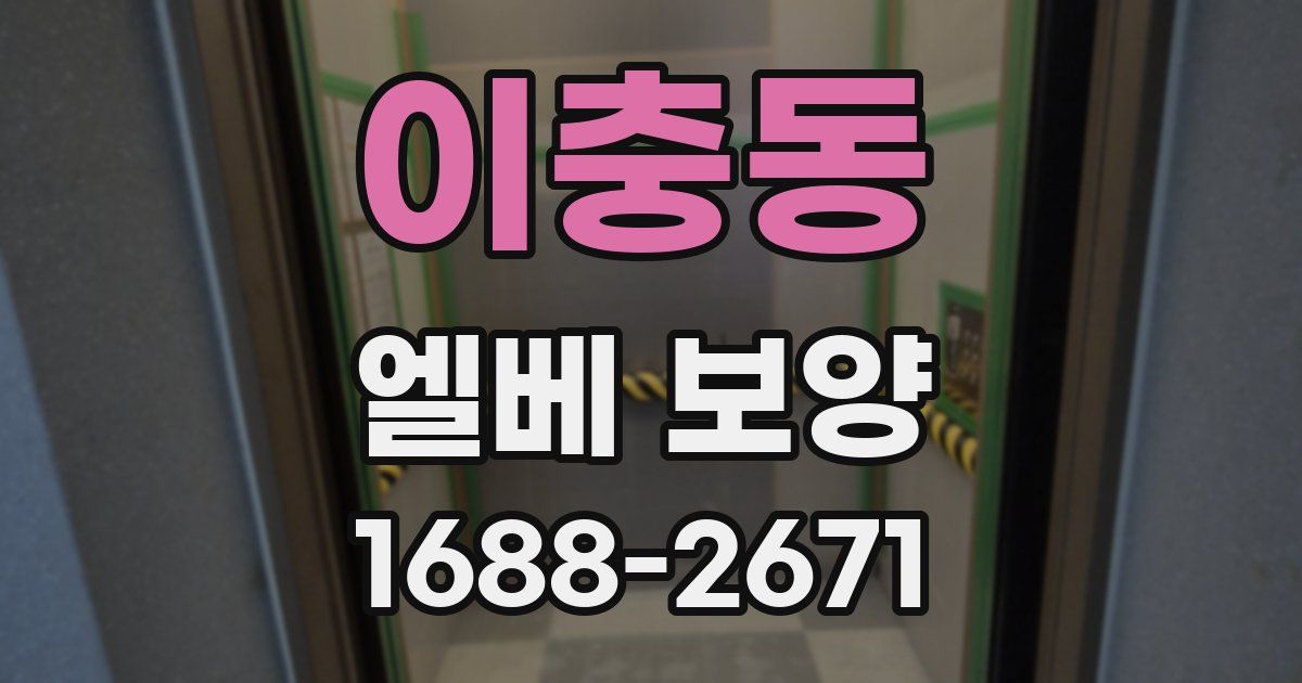 이충동 엘베 보양