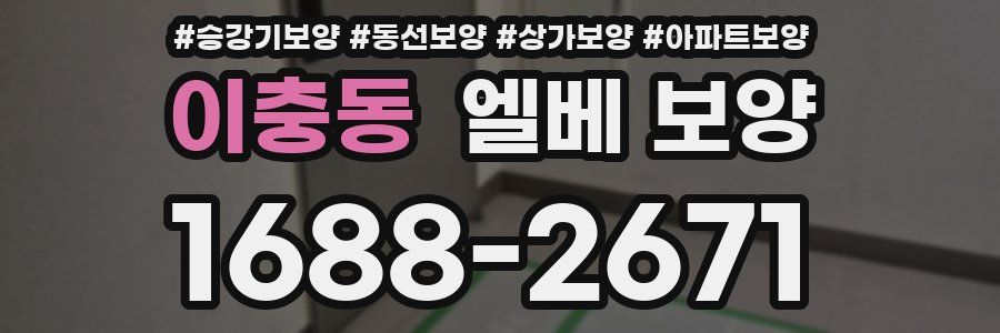 이충동 엘베 보양