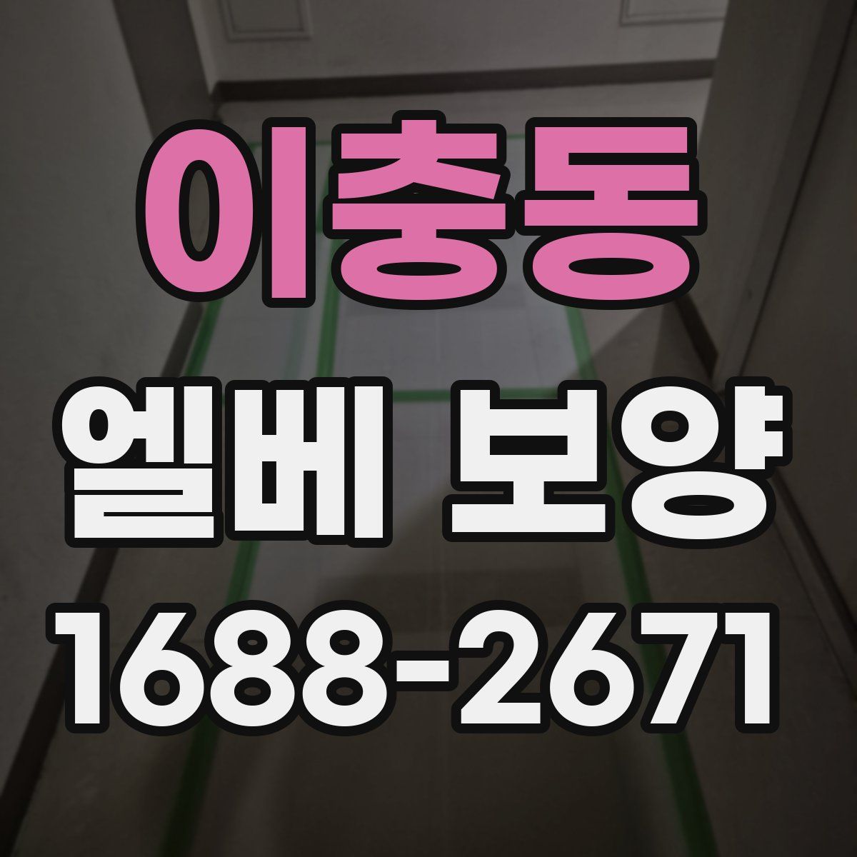 이충동 엘베 보양