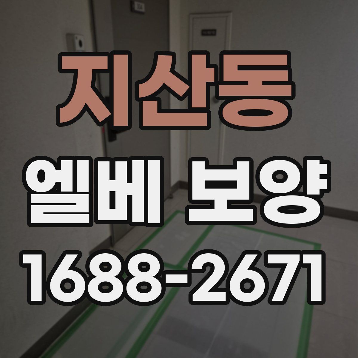 지산동 엘베 보양 훼손 흔적 점검과 정리 방법