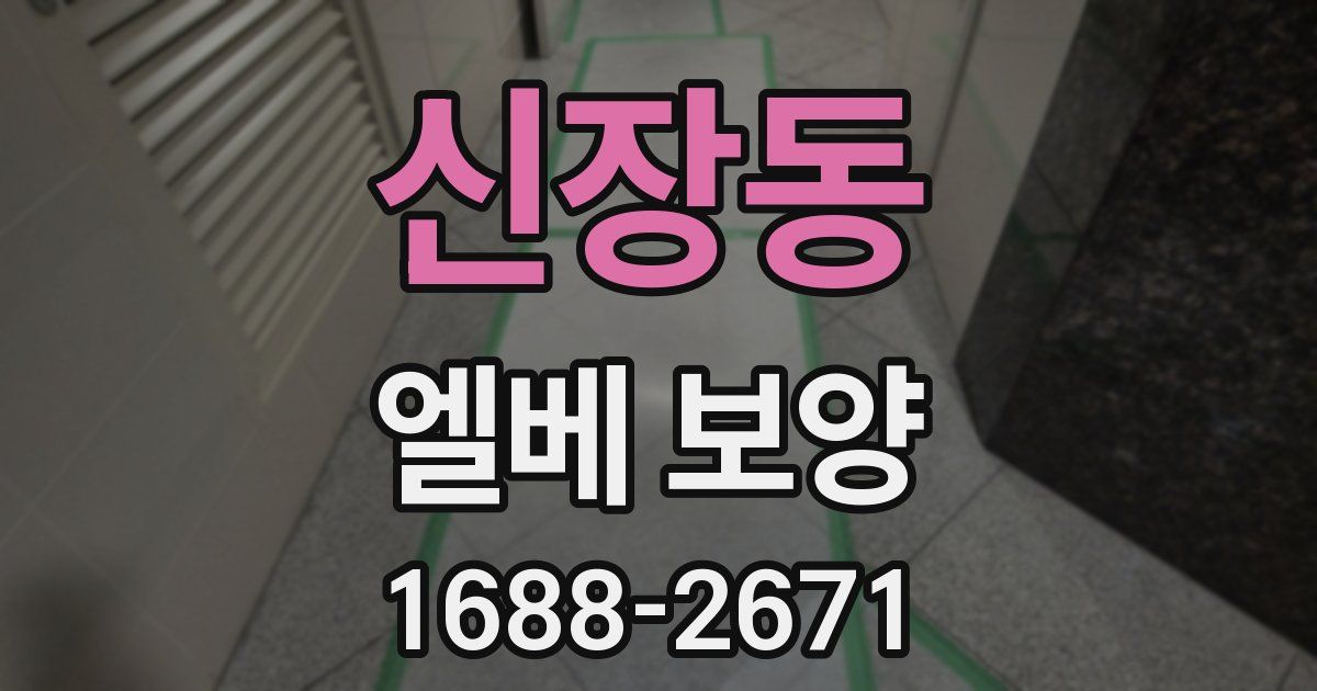 신장동 엘베 보양