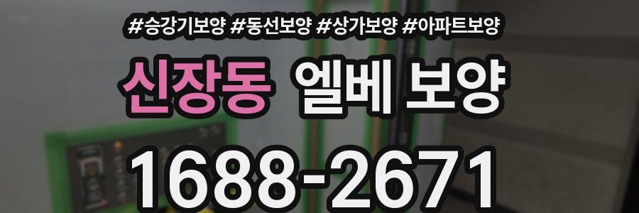 신장동 엘베 보양