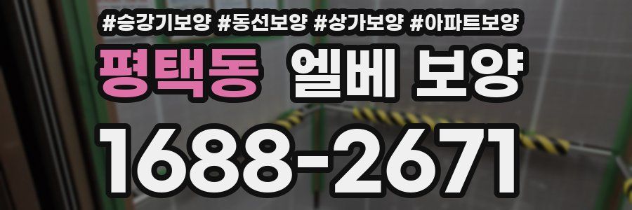 평택동 엘베 보양