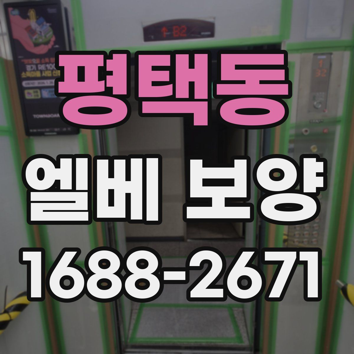 평택동 엘베 보양