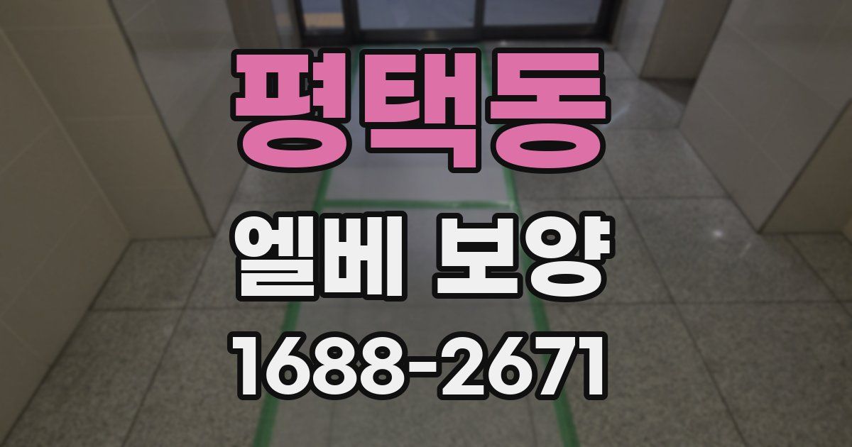 평택동 엘베 보양