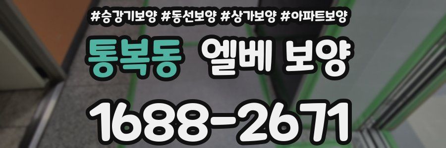 통복동 엘베 보양