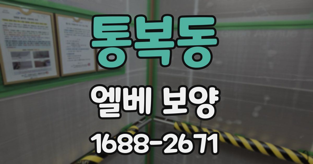 통복동 엘베 보양