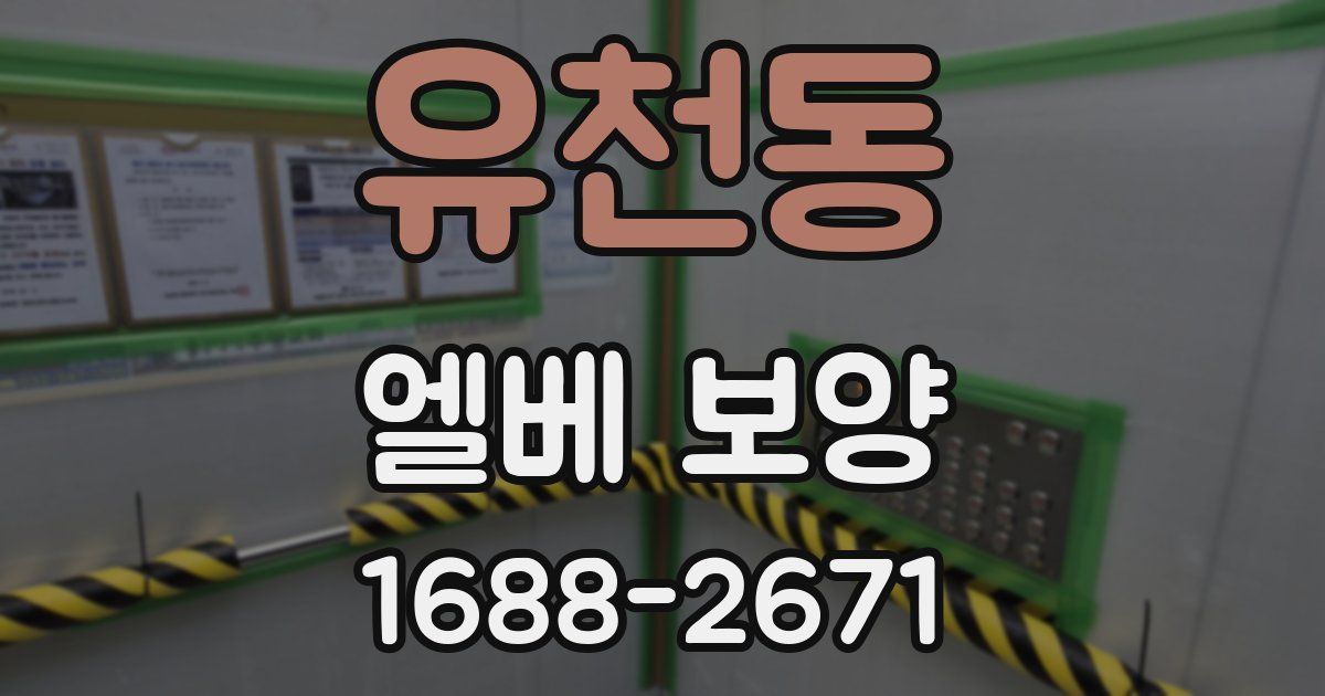 유천동 엘베 보양