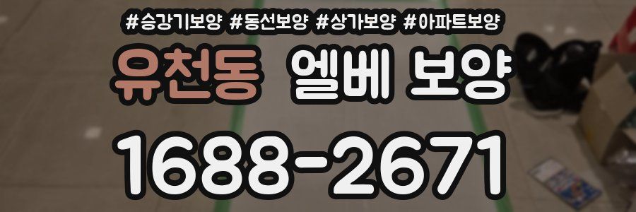 유천동 엘베 보양