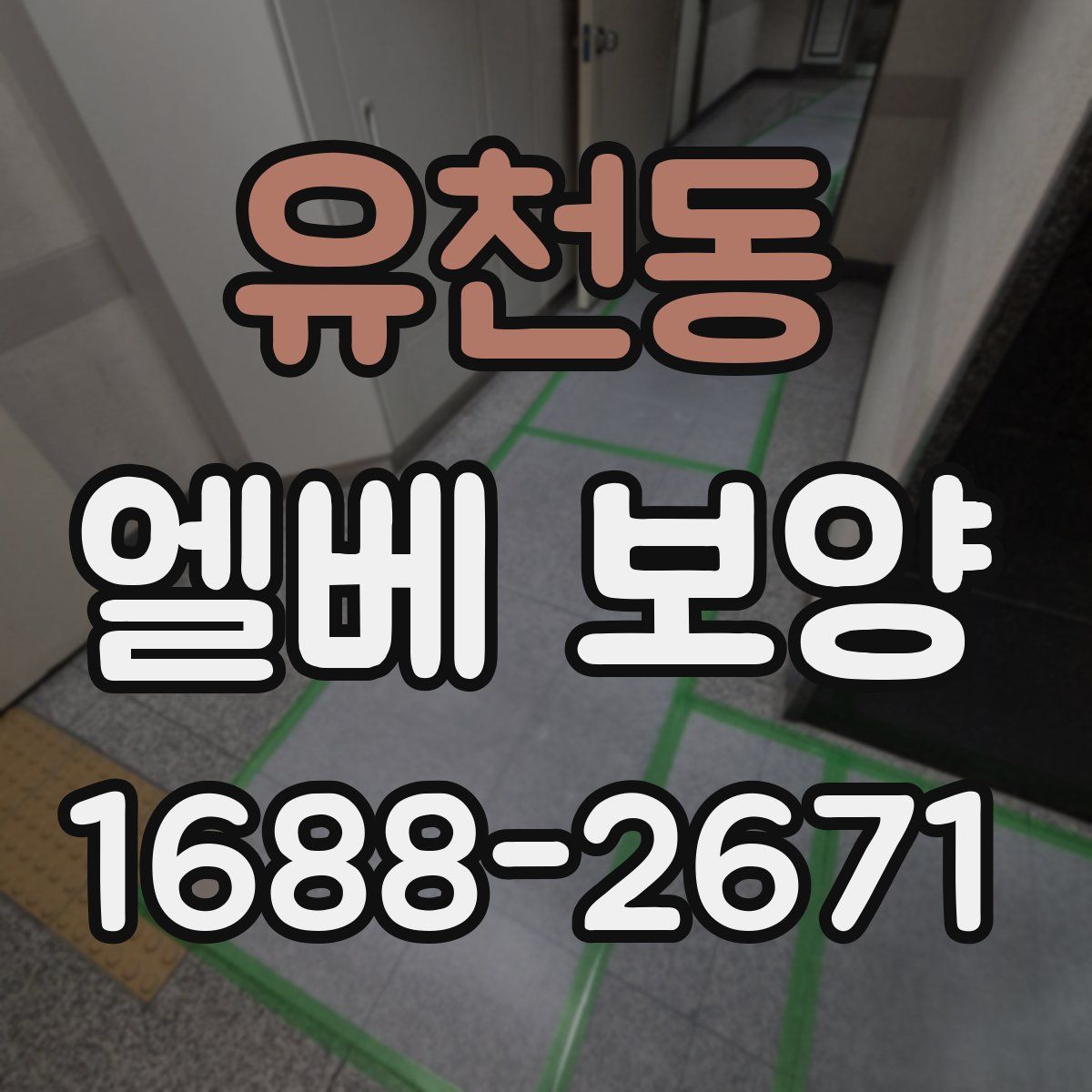 유천동 엘베 보양
