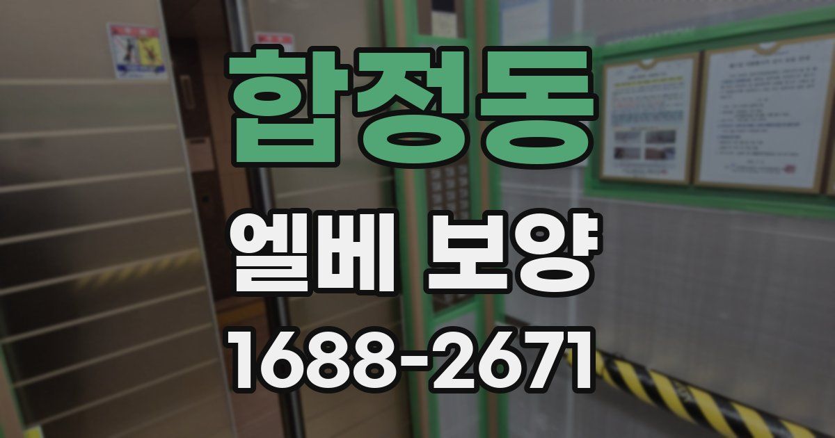 합정동 엘베 보양