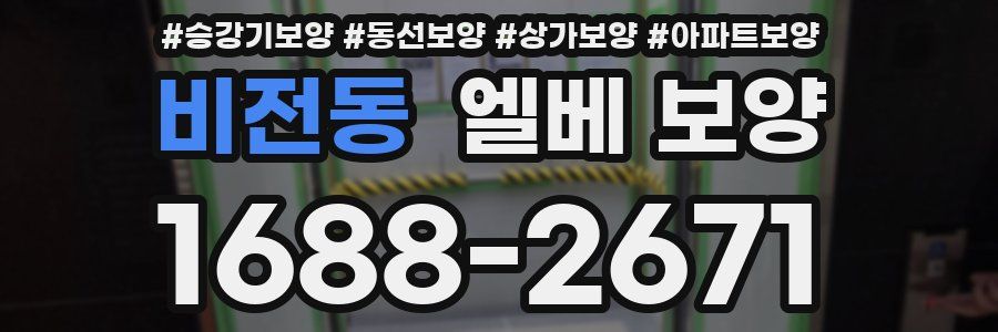 비전동 엘베 보양