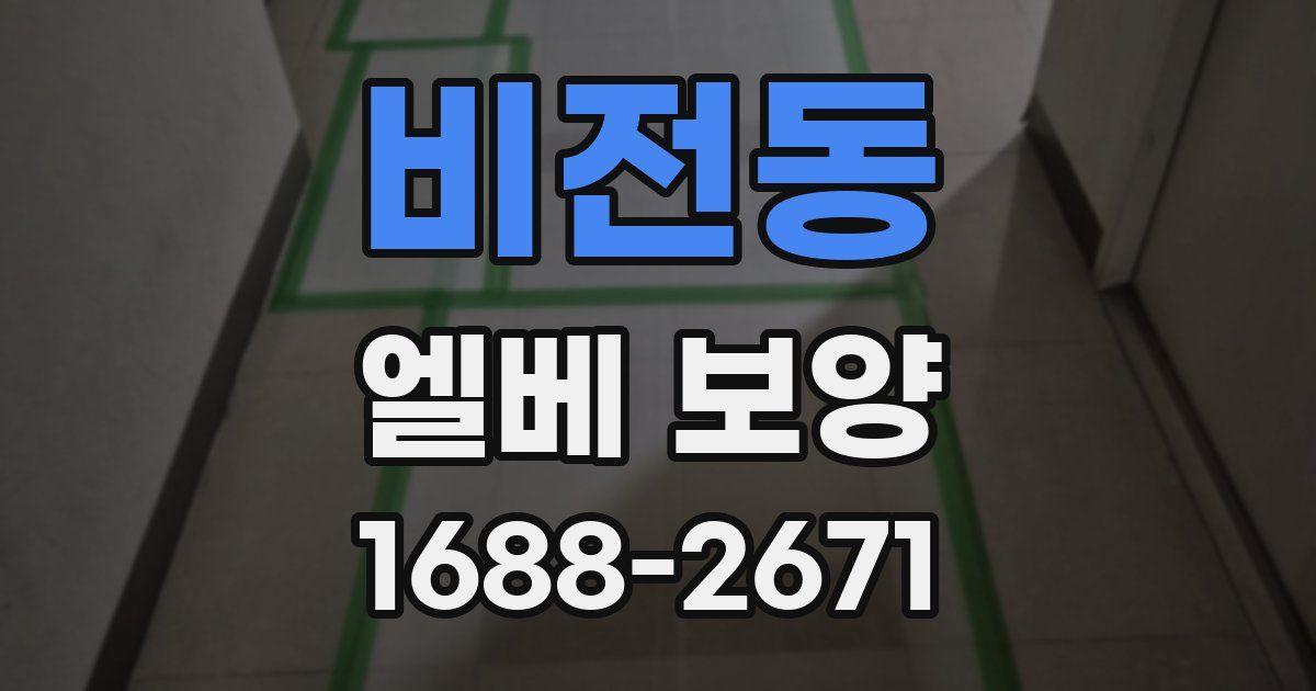 비전동 엘베 보양