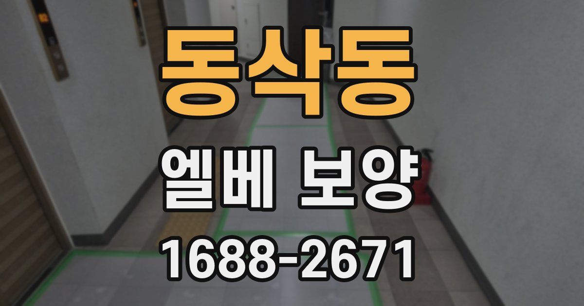 동삭동 엘베 보양