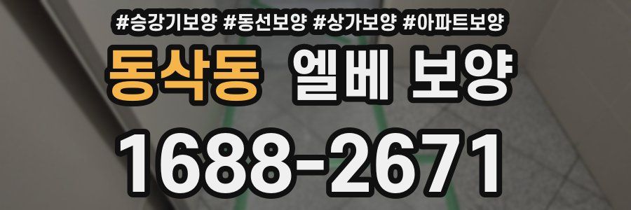 동삭동 엘베 보양