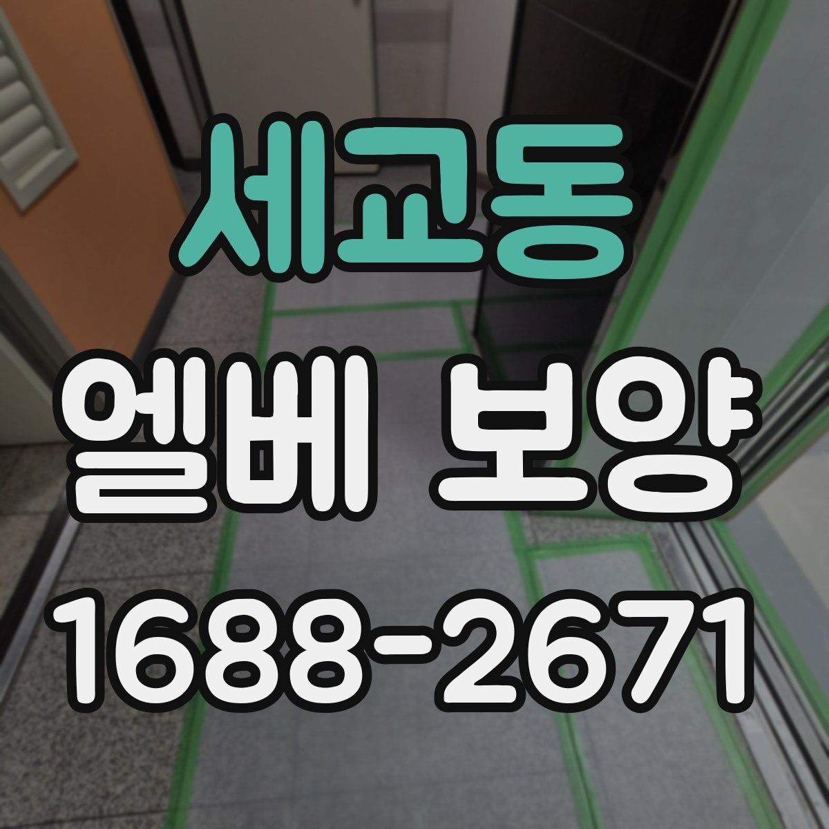세교동 엘베 보양