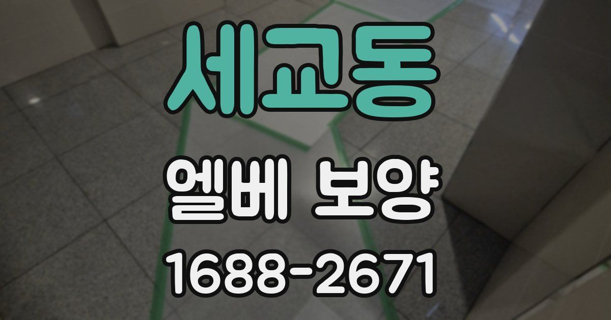 세교동 엘베 보양