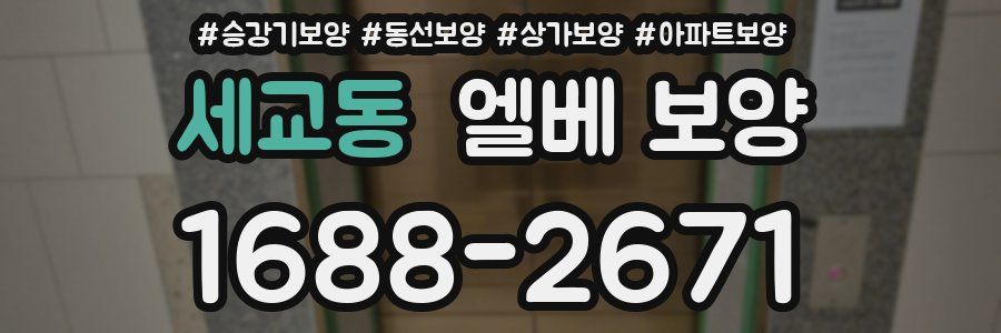 세교동 엘베 보양