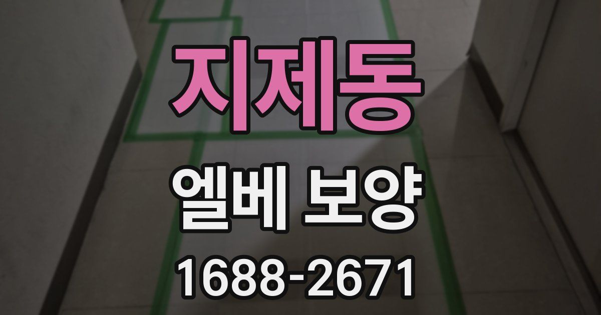 지제동 엘베 보양