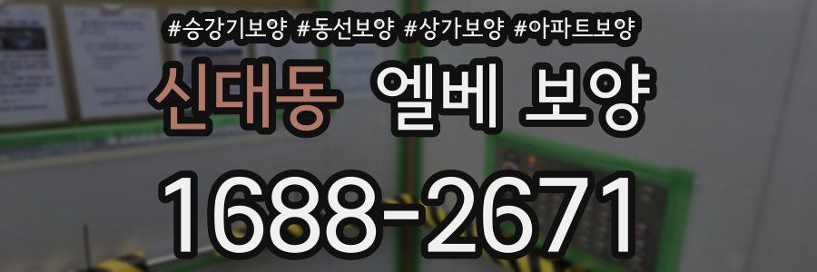 신대동 엘베 보양