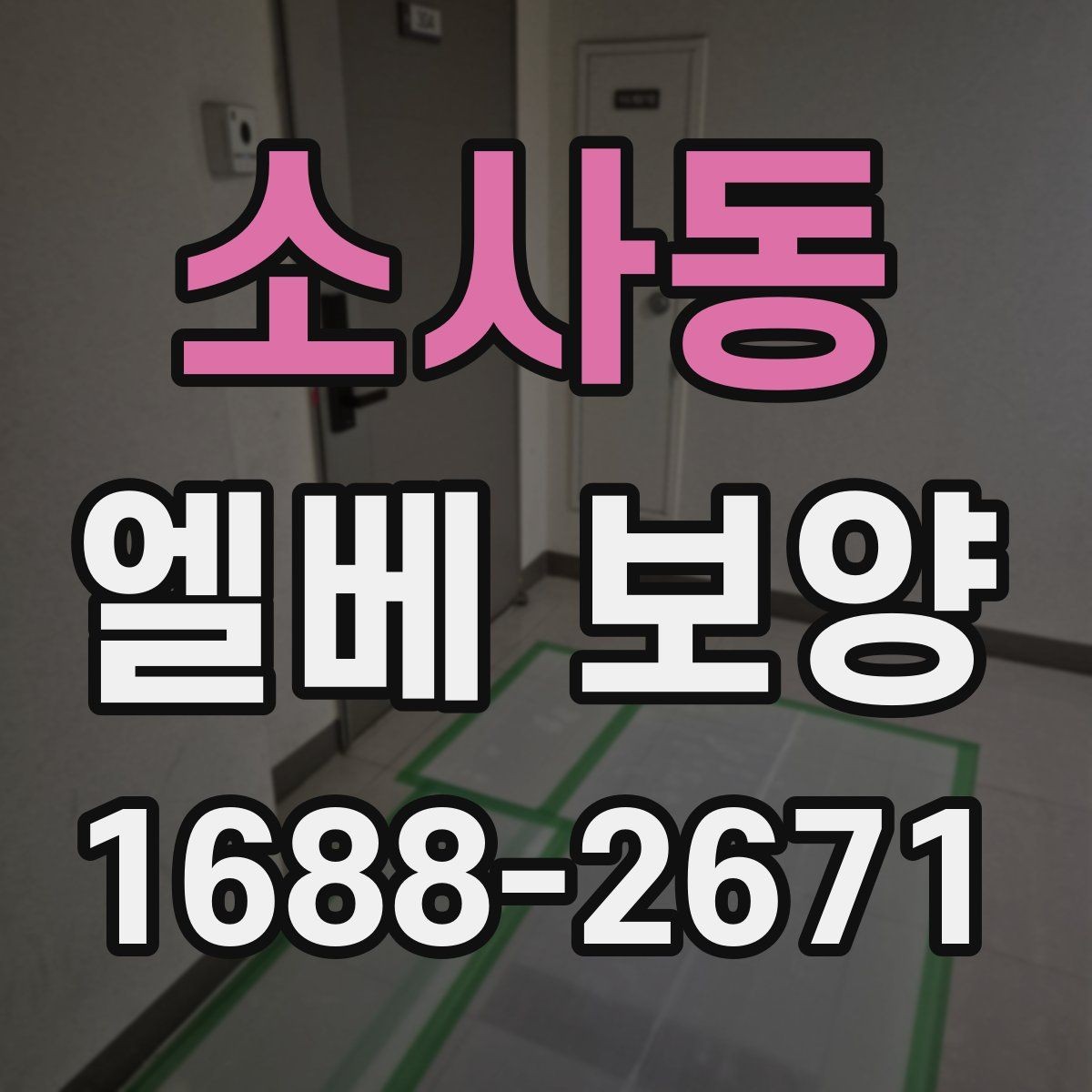 소사동 엘베 보양 대형 이사 현장에 맞춘 보호 범위 설정