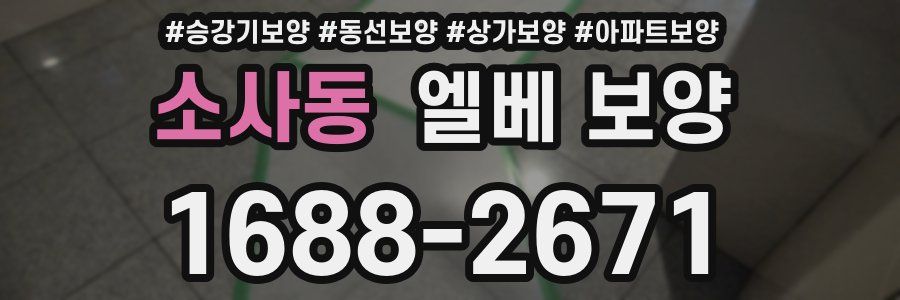 소사동 엘베 보양