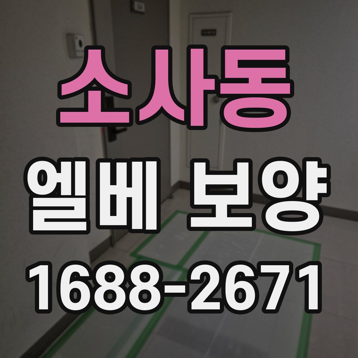 소사동 엘베 보양