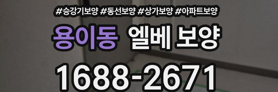 용이동 엘베 보양