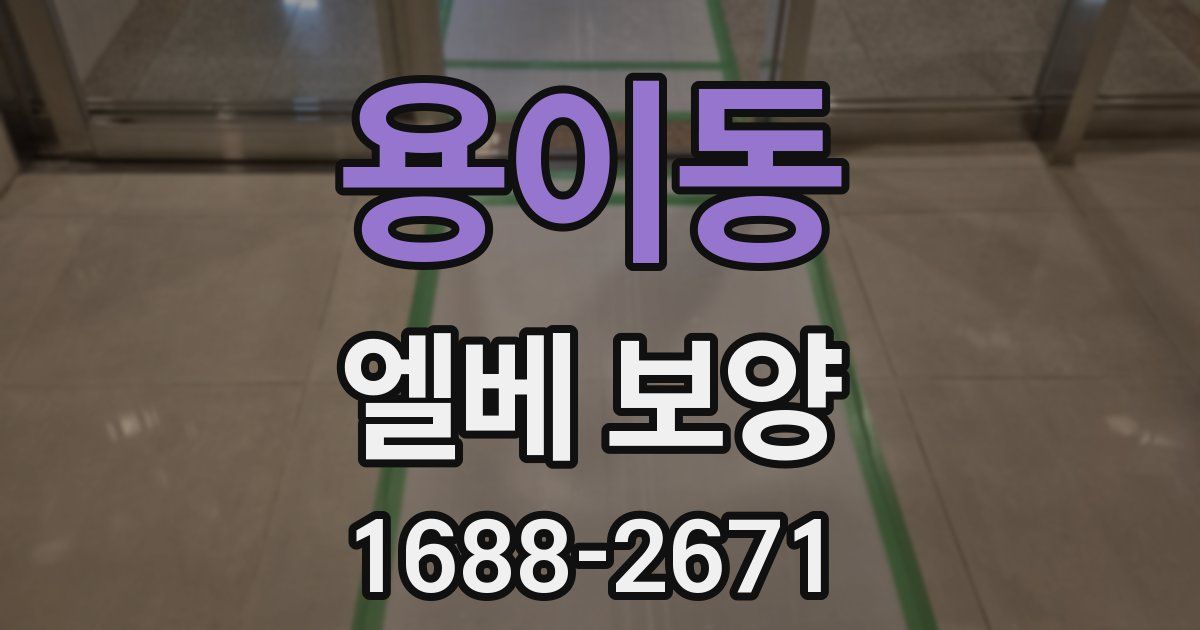 용이동 엘베 보양