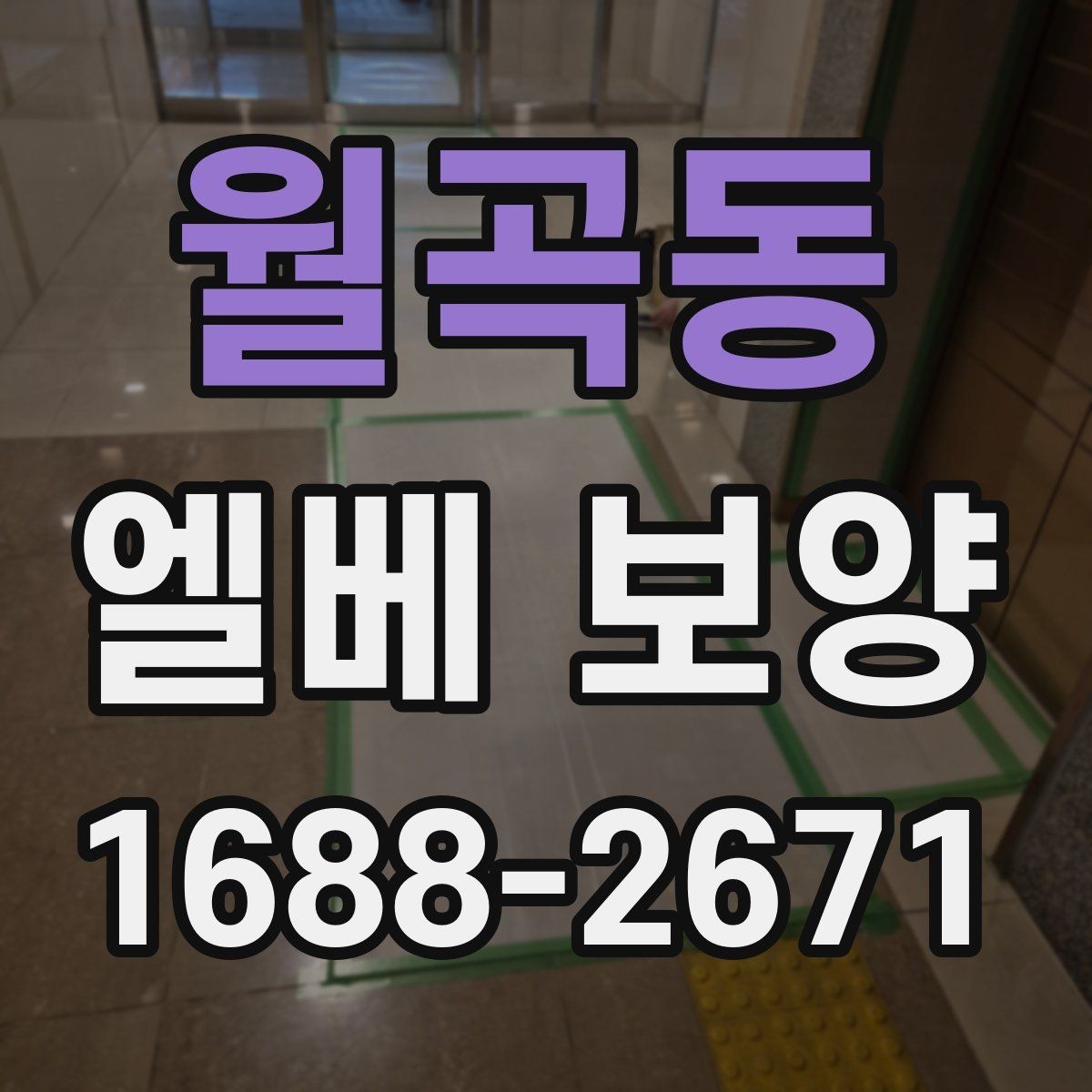 월곡동 엘베 보양 출입 빈도 높은 구간 관리 포인트