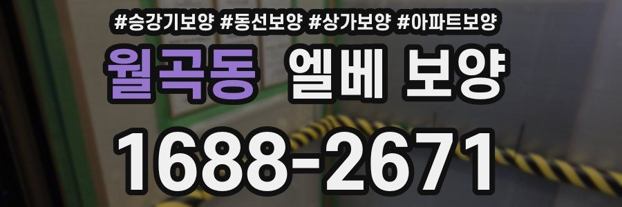 월곡동 엘베 보양