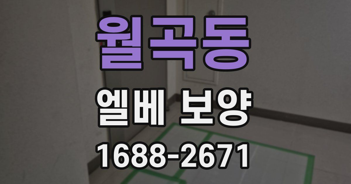 월곡동 엘베 보양