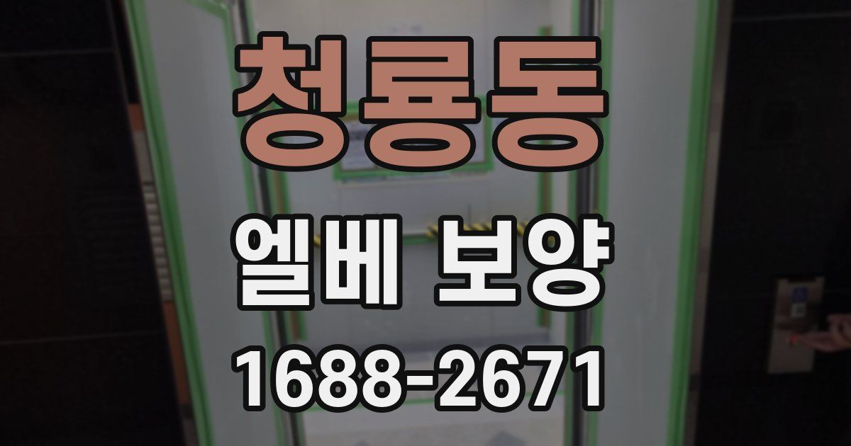 청룡동 엘베 보양