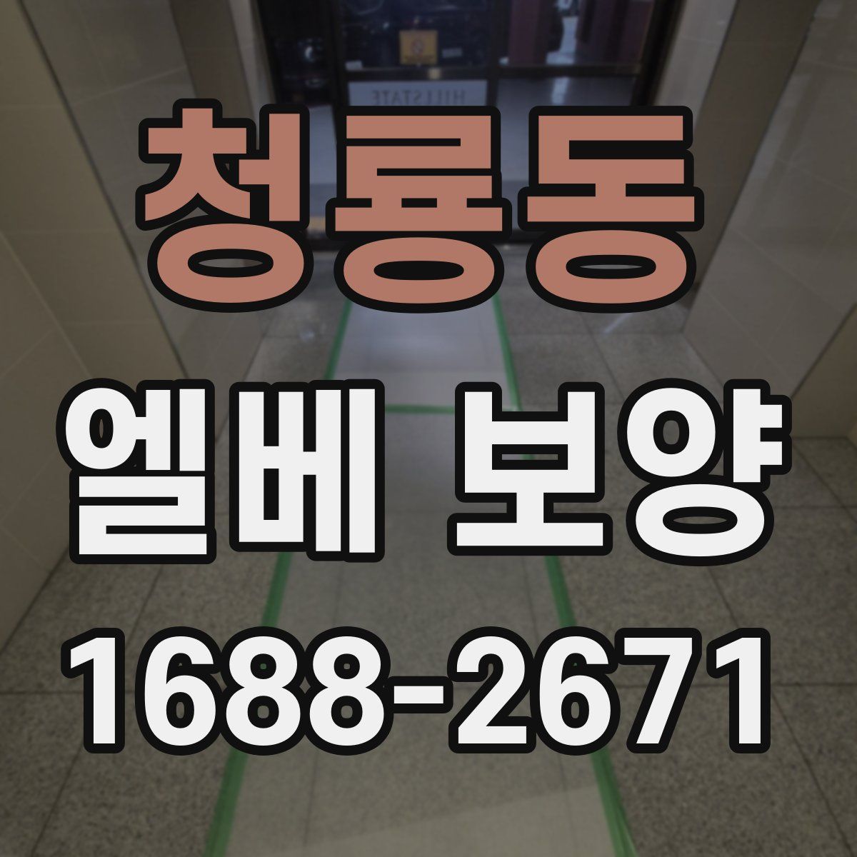 청룡동 엘베 보양