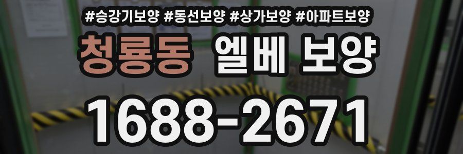 청룡동 엘베 보양