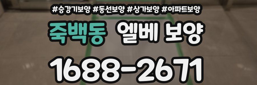 죽백동 엘베 보양