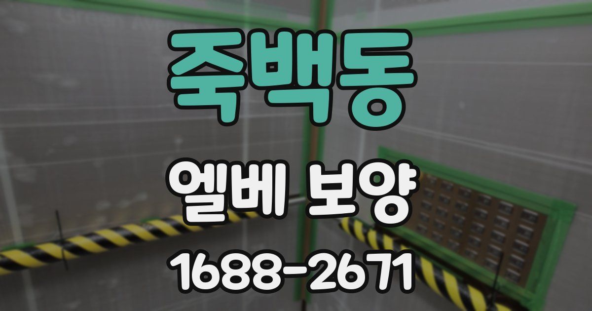 죽백동 엘베 보양