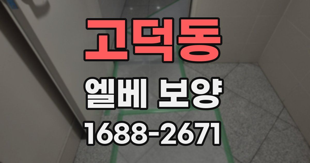 고덕동 엘베 보양
