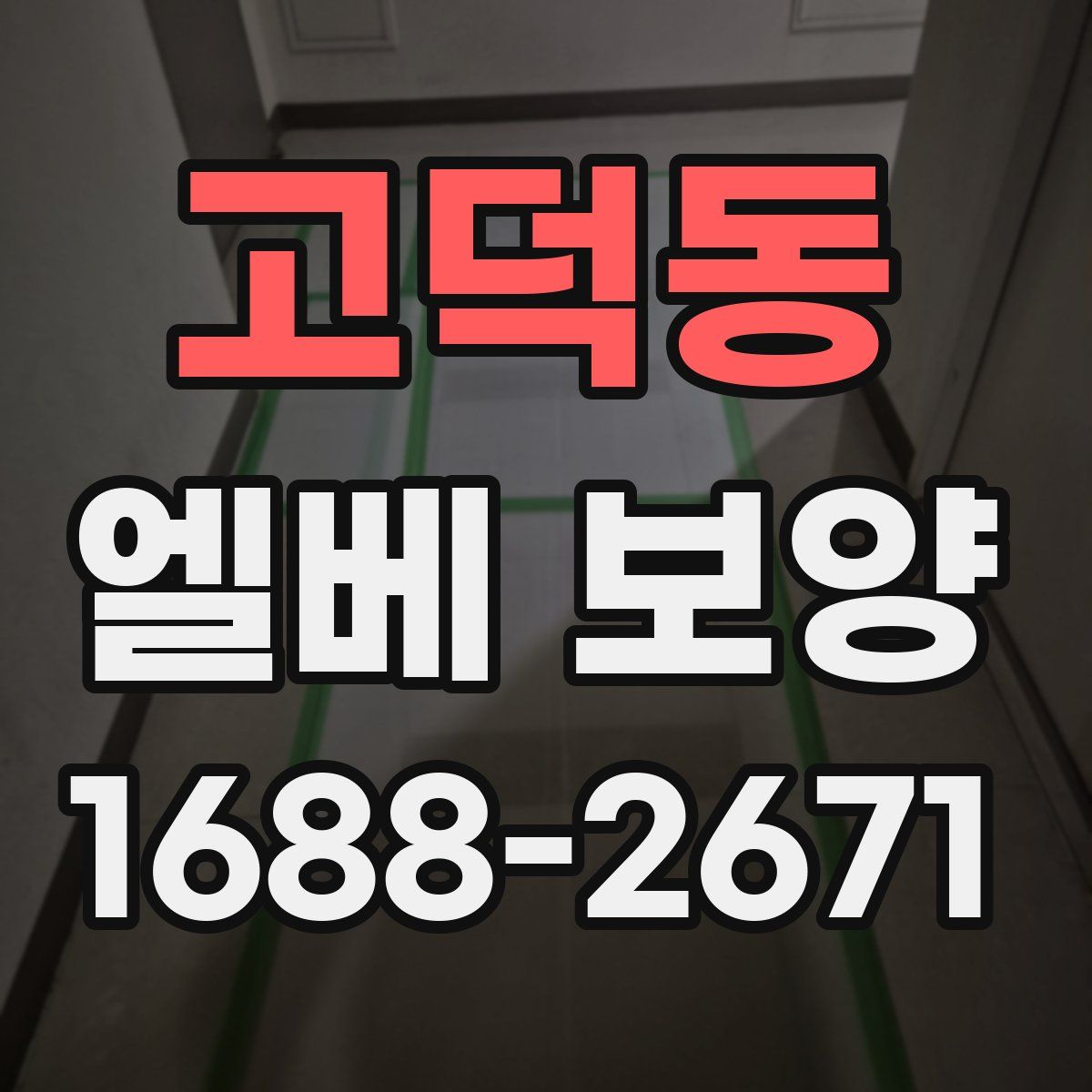 고덕동 엘베 보양