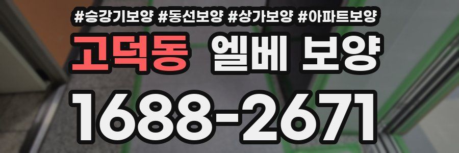 고덕동 엘베 보양
