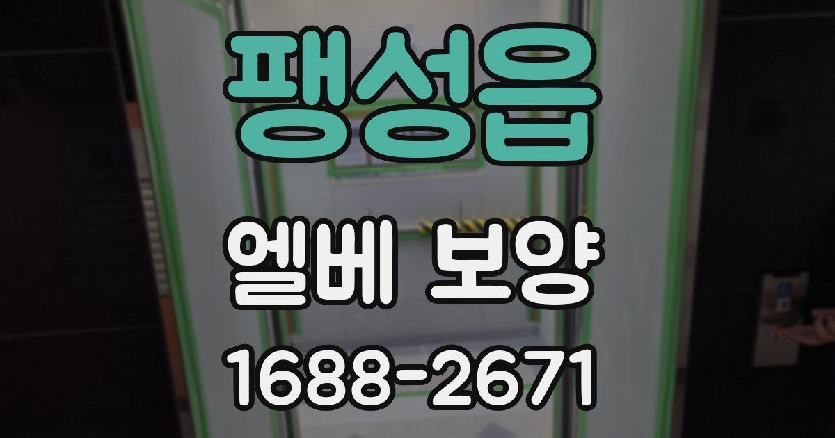 팽성읍 엘베 보양