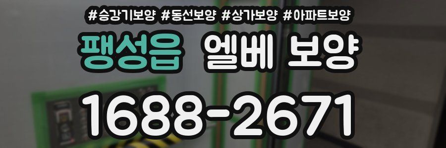 팽성읍 엘베 보양