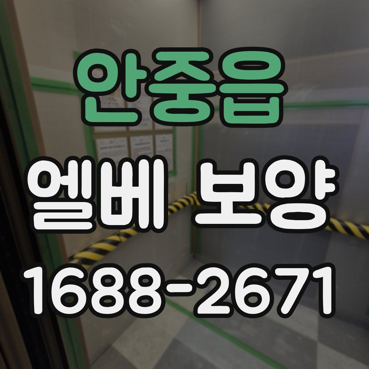 안중읍 엘베 보양