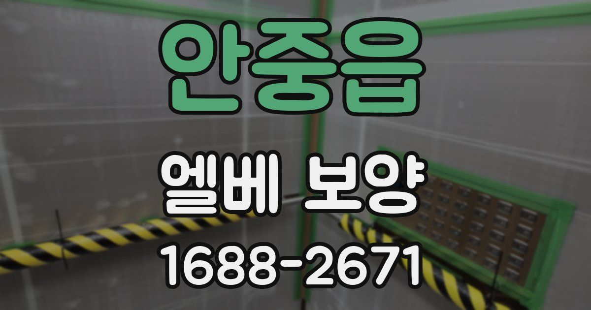 안중읍 엘베 보양