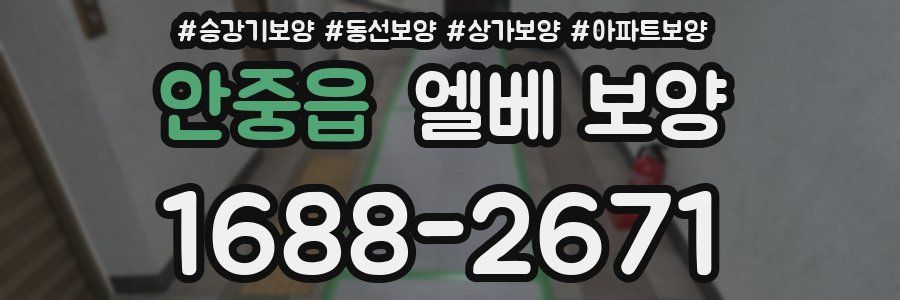 안중읍 엘베 보양